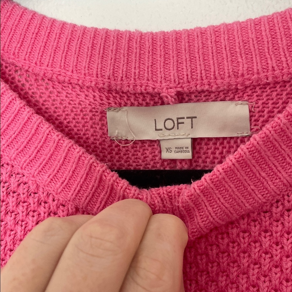 Loft Pointelle Raglan Stitch Knit Sweater - Picture 5 of 10
